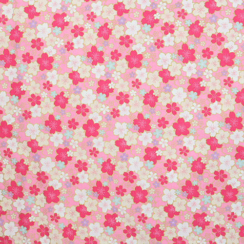 Goldene Sakura-Blte Kyoto Frhling Rosa 4