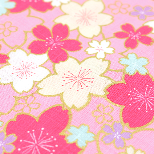 Goldene Sakura-Blte Kyoto Frhling Rosa 5