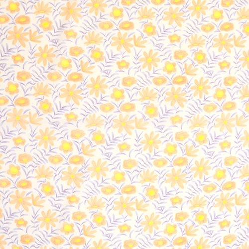 Aquarelle d'une Simple Floraison de Prairie