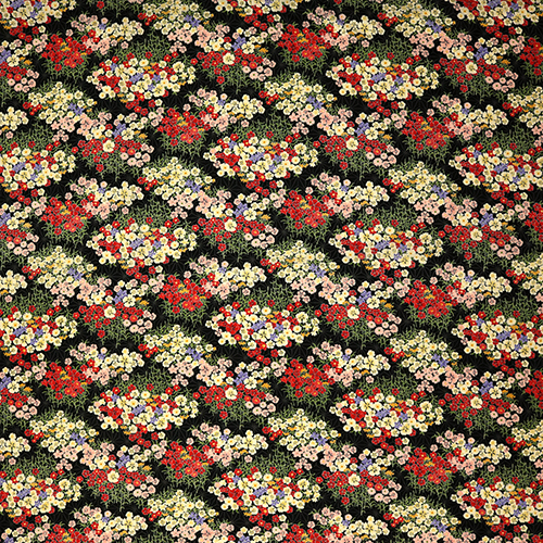 Fleurs Japonaises Délicates Jardin Asanoha 4