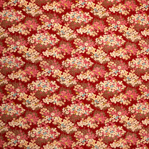 Fleurs Japonaises Délicates Jardin Asanoha 4