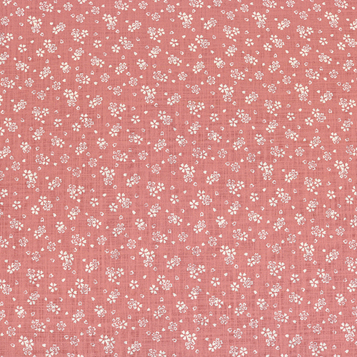 Zarte Sakura-Blüte