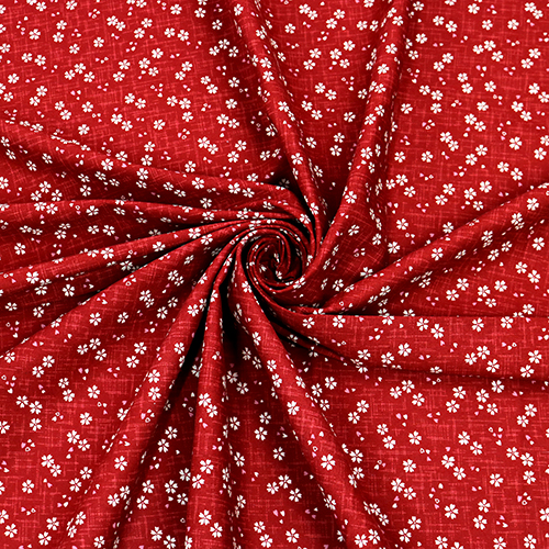 Miniature de Cerisier Sakura en Croisillon 2