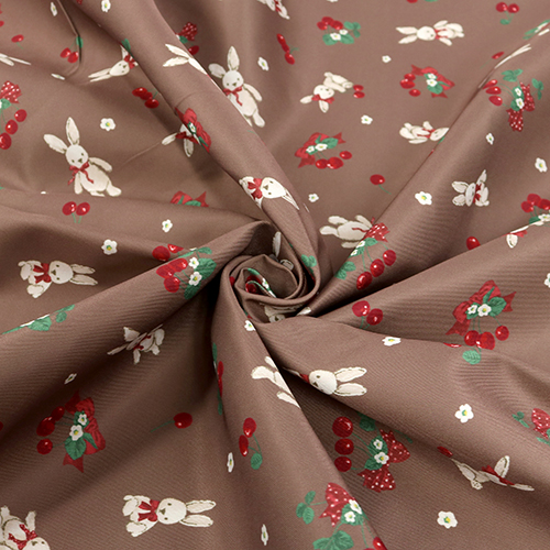 Adorable Conejo Cereza Lazo Cacao 2