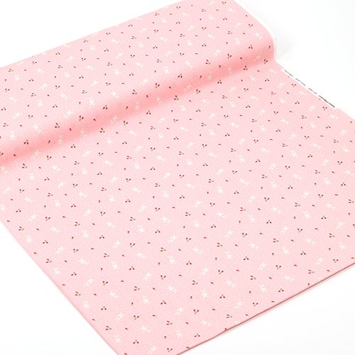 Minuscule Lapin Mignon Fraises Pois 3