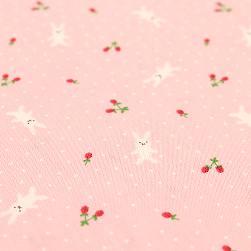 Minuscule Lapin Mignon Fraises Pois 5