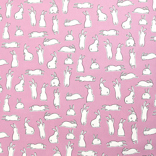 Funny Dancing Monochrome Rabbits Behind