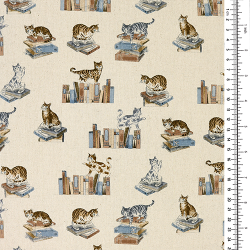 Chats Tigrs Livres Anciens 1
