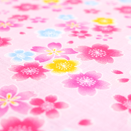Fleur De Sakura Jolie Et Colorée Dispersée 5