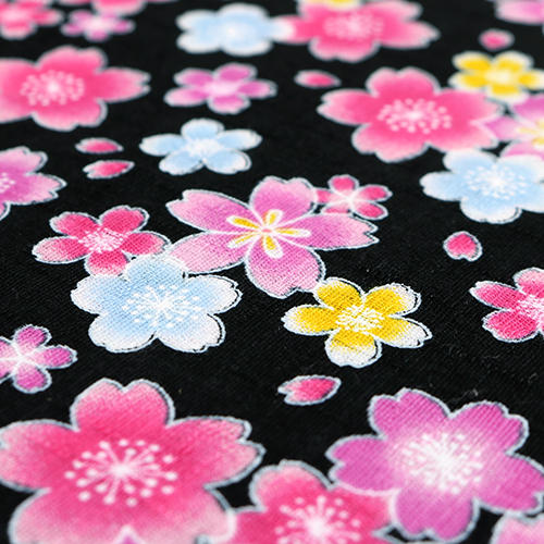 Fleur De Sakura Jolie Et Colorée Dispersée 5