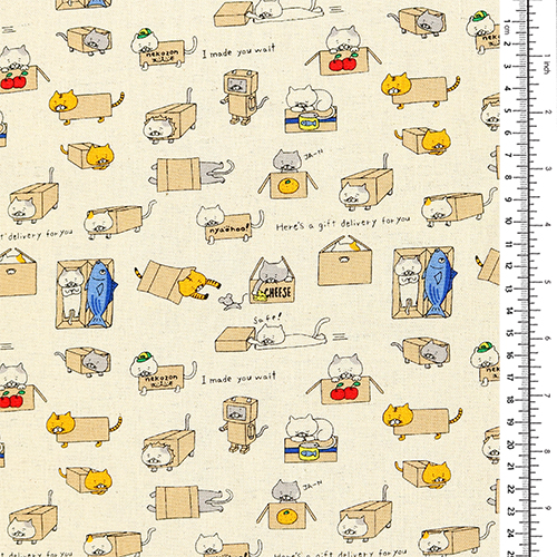 Chats Illustrés Cachés Jouant Avec Boîtes Et Paquets 1