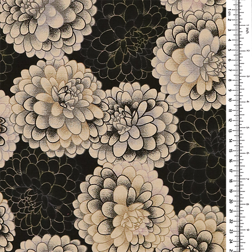 Illustrierte Monochrome Chrysanthemen Blütenköpfe 1