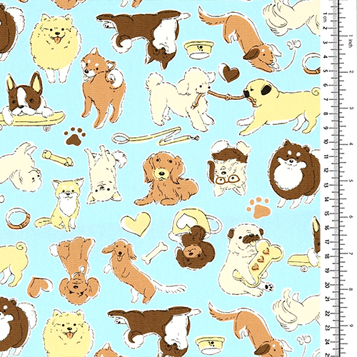 Accesorios de Perros en Bocetos Ilustrados Lindos 1