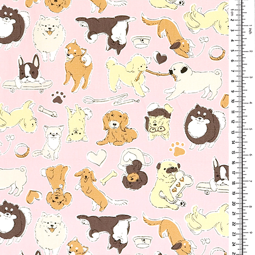 Accesorios de Perros en Bocetos Ilustrados Lindos 1