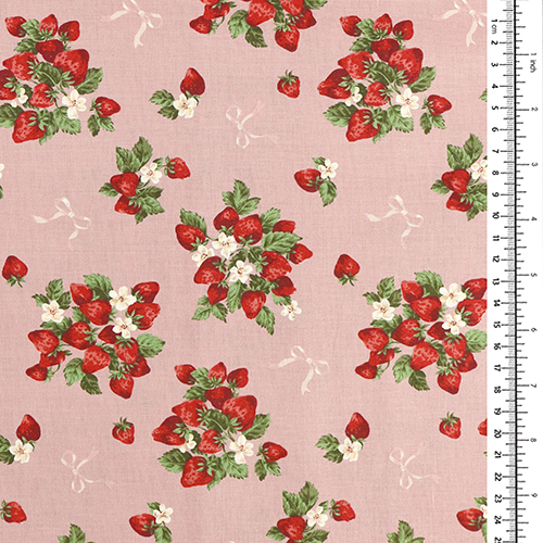 Frische Sommer-Erdbeerstruchen-Schleifen 1