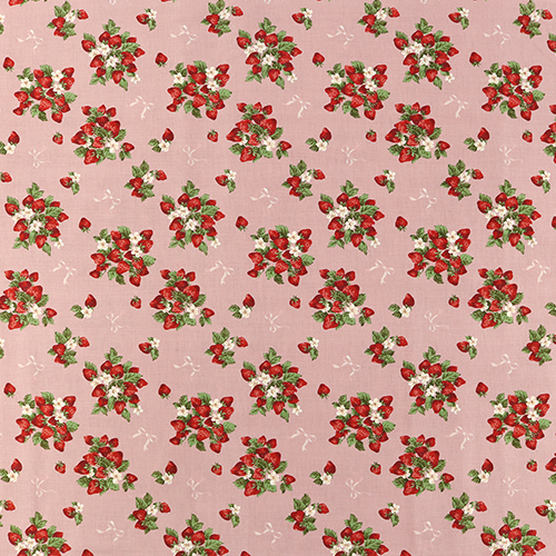 Frische Sommer-Erdbeerstruchen-Schleifen 4