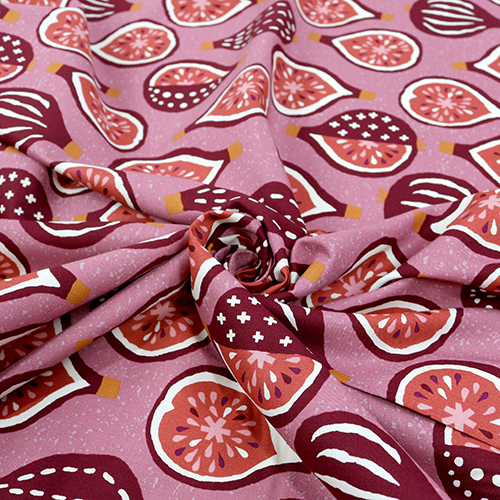 Retro Half Fig Seeds Fruity Yum Yum 2