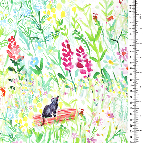 Chat & Champ Aquarelle Fleurs Sauvages 1