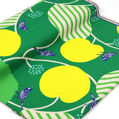 Pepe Manzana C�rculo P�jaro Audaz 3