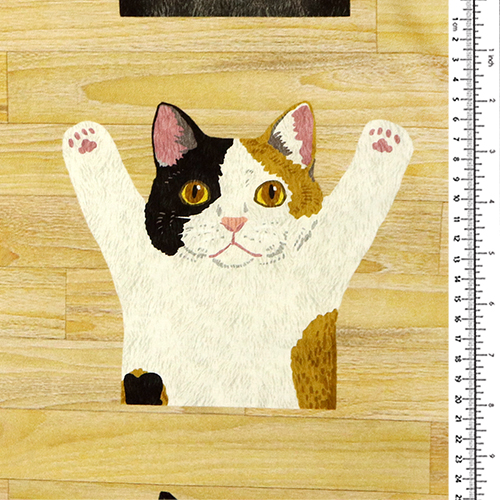 Katzen Vorne Und Hinten Holzplatte 1
