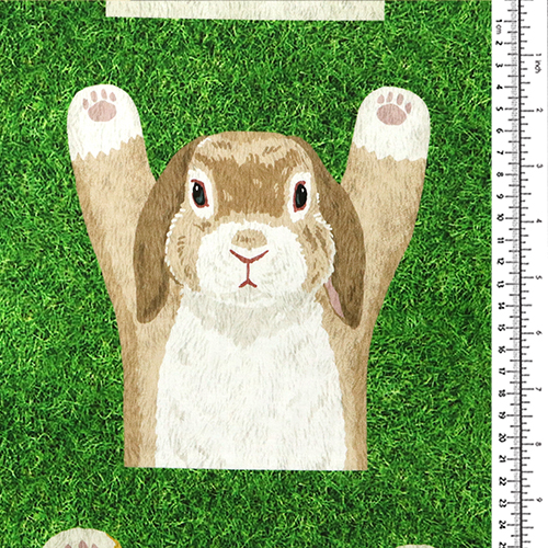 Animaux Devant Et Derrière Panneau D’Herbe 1