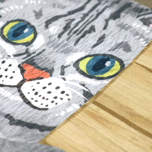 Chats Regardant � Travers La Porte Avec Panneau Marron 5