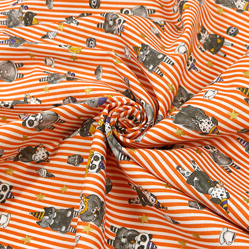Animaux D’Halloween Citrouilles Rayures 2