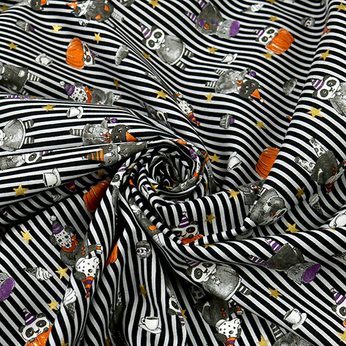 Animaux D’Halloween Citrouilles Rayures 2