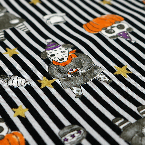 Animaux D’Halloween Citrouilles Rayures 5
