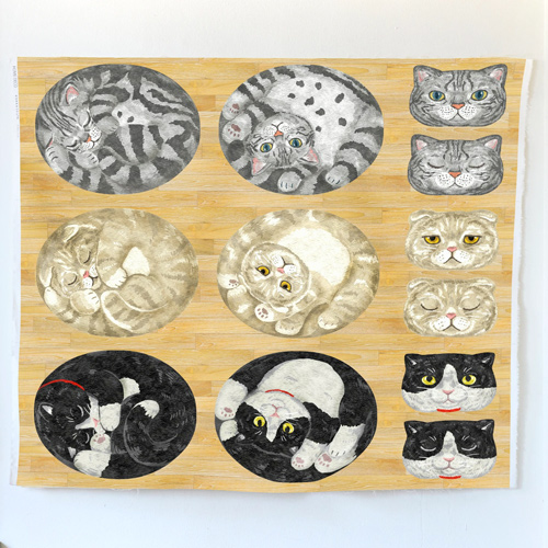 Gatos Maru Acurrucados Sobre Panel De Madera 4