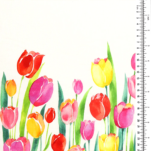 Frühlingsblumenstrauß Mit Tulpenrand 1