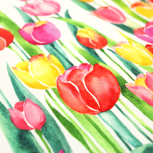 Frühlingsblumenstrauß Mit Tulpenrand 5