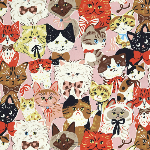 Powerful Animal Gatos con lazos