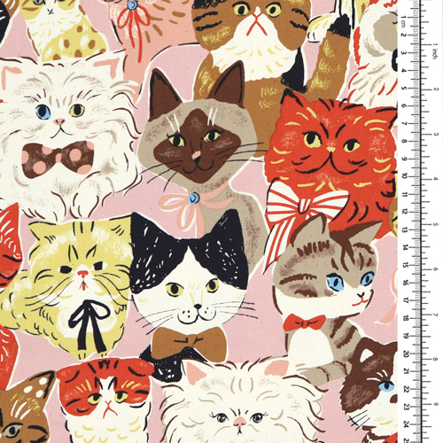 Powerful Animal Gatos con lazos 1