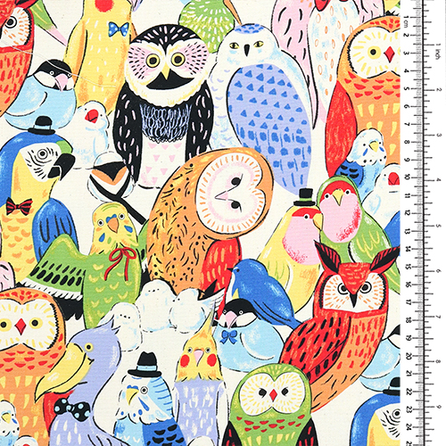 Cheerful Bright Quirky Colourful Birds 1