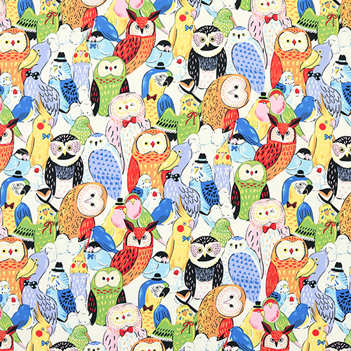 Cheerful Bright Quirky Colourful Birds 4