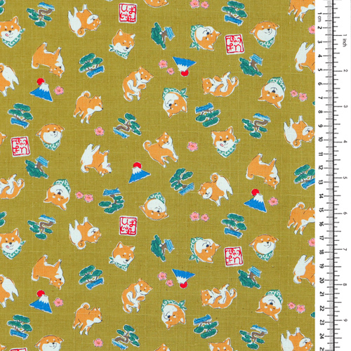 Mameshiba Day Out Bonsai Tree Mt Fuji 1