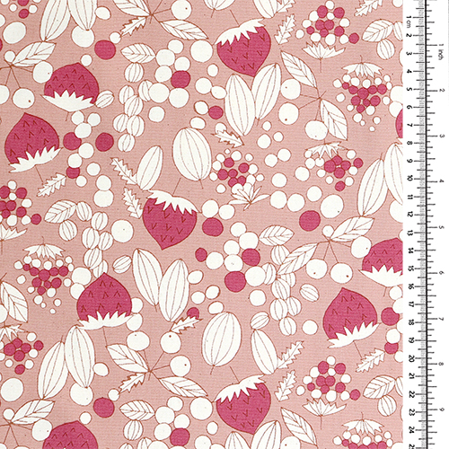 Illustration De Style Scandi De Baies Tumbling 1