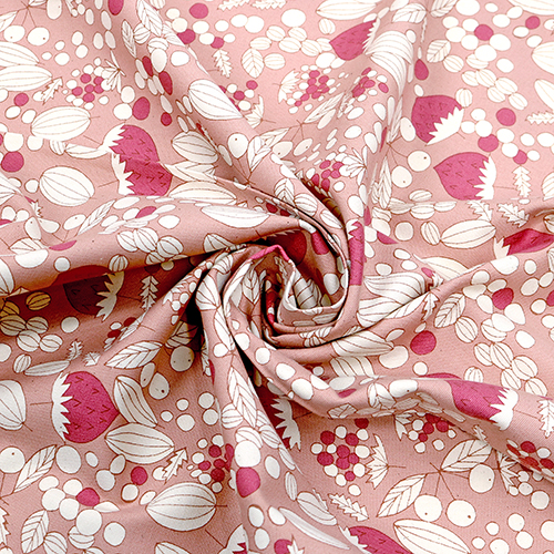 Illustration De Style Scandi De Baies Tumbling 2