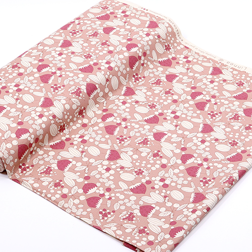 Illustration De Style Scandi De Baies Tumbling 3