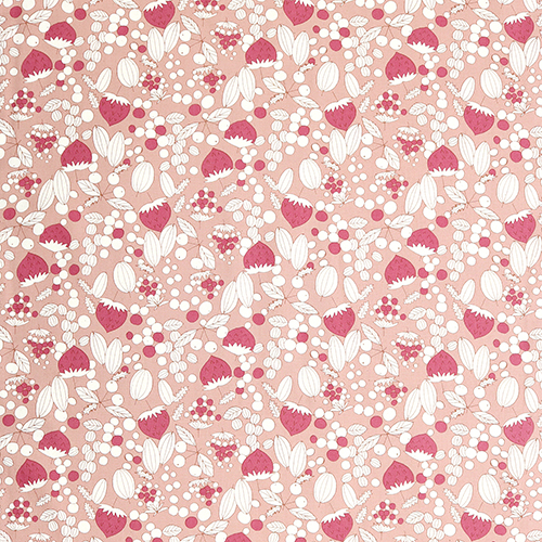 Illustration De Style Scandi De Baies Tumbling 4