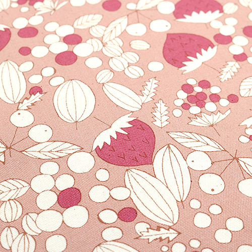 Illustration De Style Scandi De Baies Tumbling 5