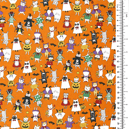 Chats Drôles Costumes D’Halloween 1