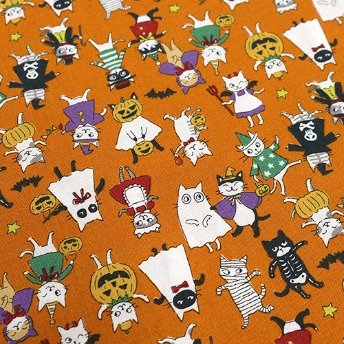 Chats Drôles Costumes D’Halloween 5