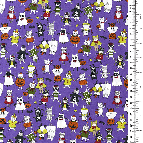 Chats Drôles Costumes D’Halloween 1