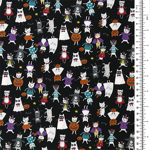 Chats Drôles Costumes D’Halloween 1