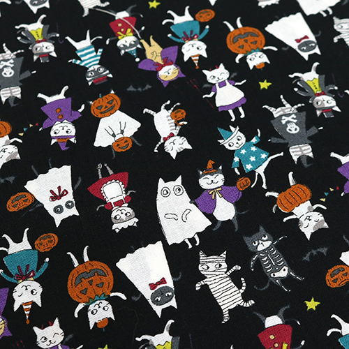 Chats Drôles Costumes D’Halloween 5