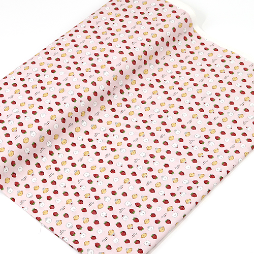 Chiens Bichon Chibi Crème Fraise 3