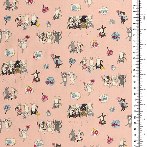 Funny Cats Idol Fan Club 1