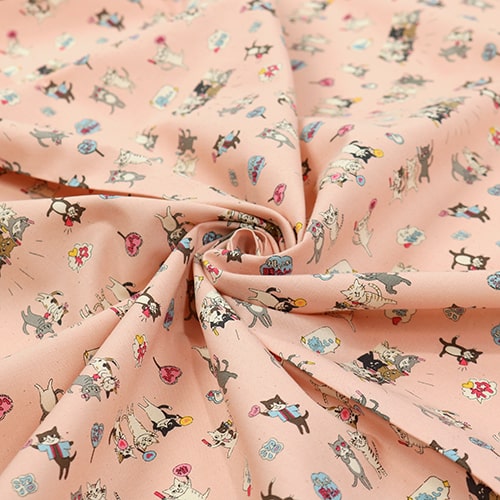 Funny Cats Idol Fan Club 2